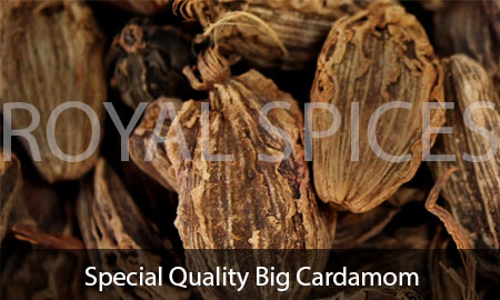Special Quality Big Cardamom