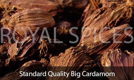 Standard Quality Big Cardamom